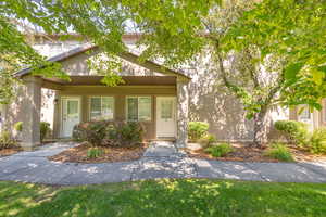 Entrance to property featuring a lawn and stucco siding