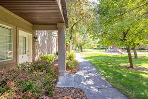 View of green lawn