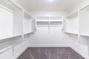 Spacious closet featuring dark colored carpet