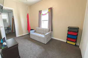 Living area featuring carpet floors and crown molding