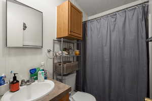 Bathroom featuring a textured ceiling, vanity, and a shower with curtain