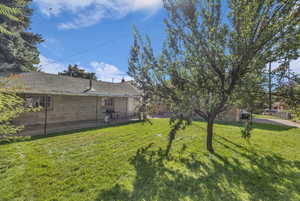 View of green lawn with a patio