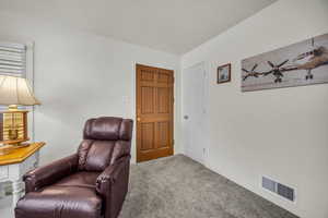 Sitting room with carpet flooring