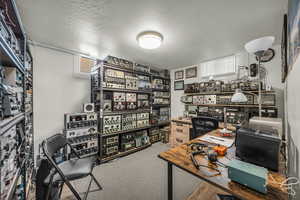 Office area featuring a textured ceiling and light carpet