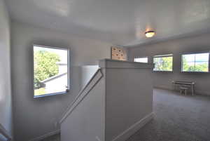 Hallway with an upstairs landing and carpet floors