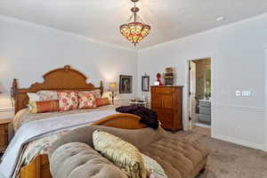 Carpeted bedroom with crown molding, a textured ceiling, and connected bathroom