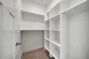 Spacious walk-in closet in bedroom #3 featuring light carpet