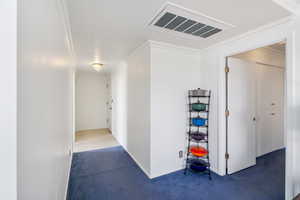 Hallway featuring ornamental molding and carpet floors