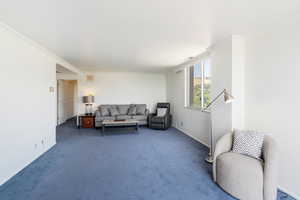 Living area with crown molding and carpet flooring