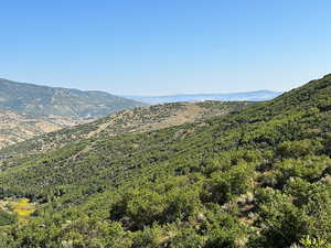 Mountain views the north with a heavily wooded area