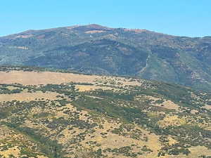 Views to the north of  Lewis Peak