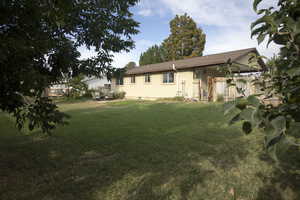 Secluded yard with fruit trees