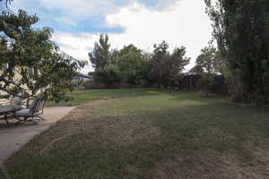 View of fenced backyard