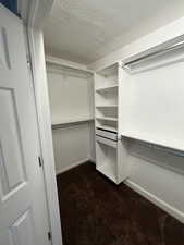 Spacious closet featuring dark carpet