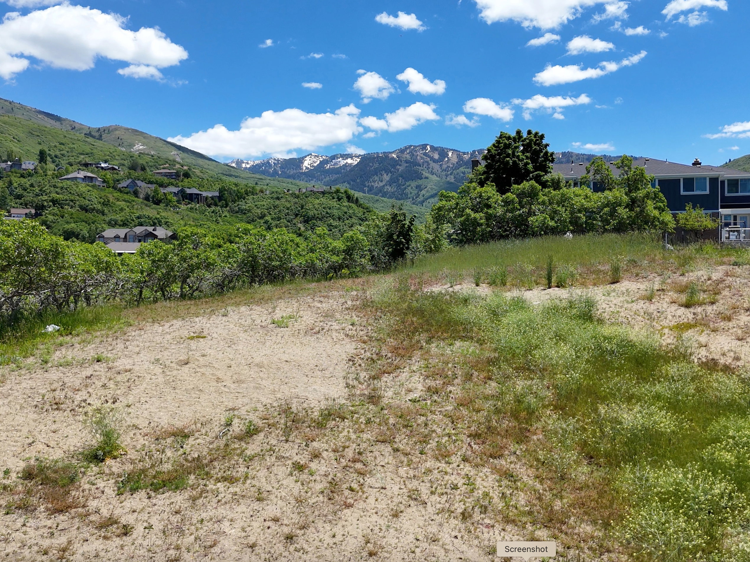 View from the front of the lot  to the east (Mueller Park Canyon is in the background)