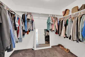 Spacious closet with carpet floors
