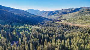 View of mountain backdrop with a forest