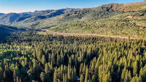 View of mountain background featuring a heavily wooded area