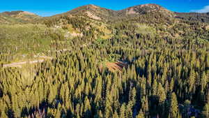 View of mountain background with a heavily wooded area