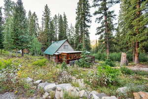 View of yard with a wooded view