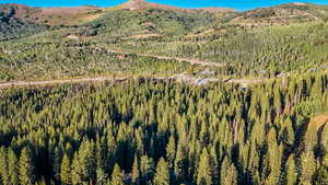 View of mountain background with a heavily wooded area