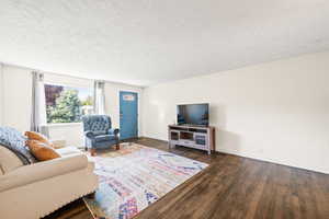 Living area featuring a textured ceiling and dark wood-type flooring