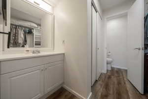 Bathroom with vanity and dark wood-type flooring