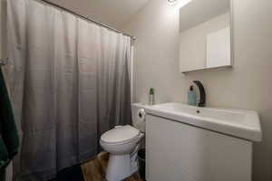 Full bathroom featuring vanity, dark wood-style floors, and a shower with shower curtain