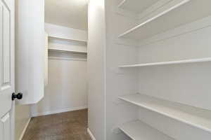 Spacious and large walk in  closet with carpet