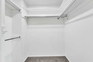 Spacious closet featuring carpet