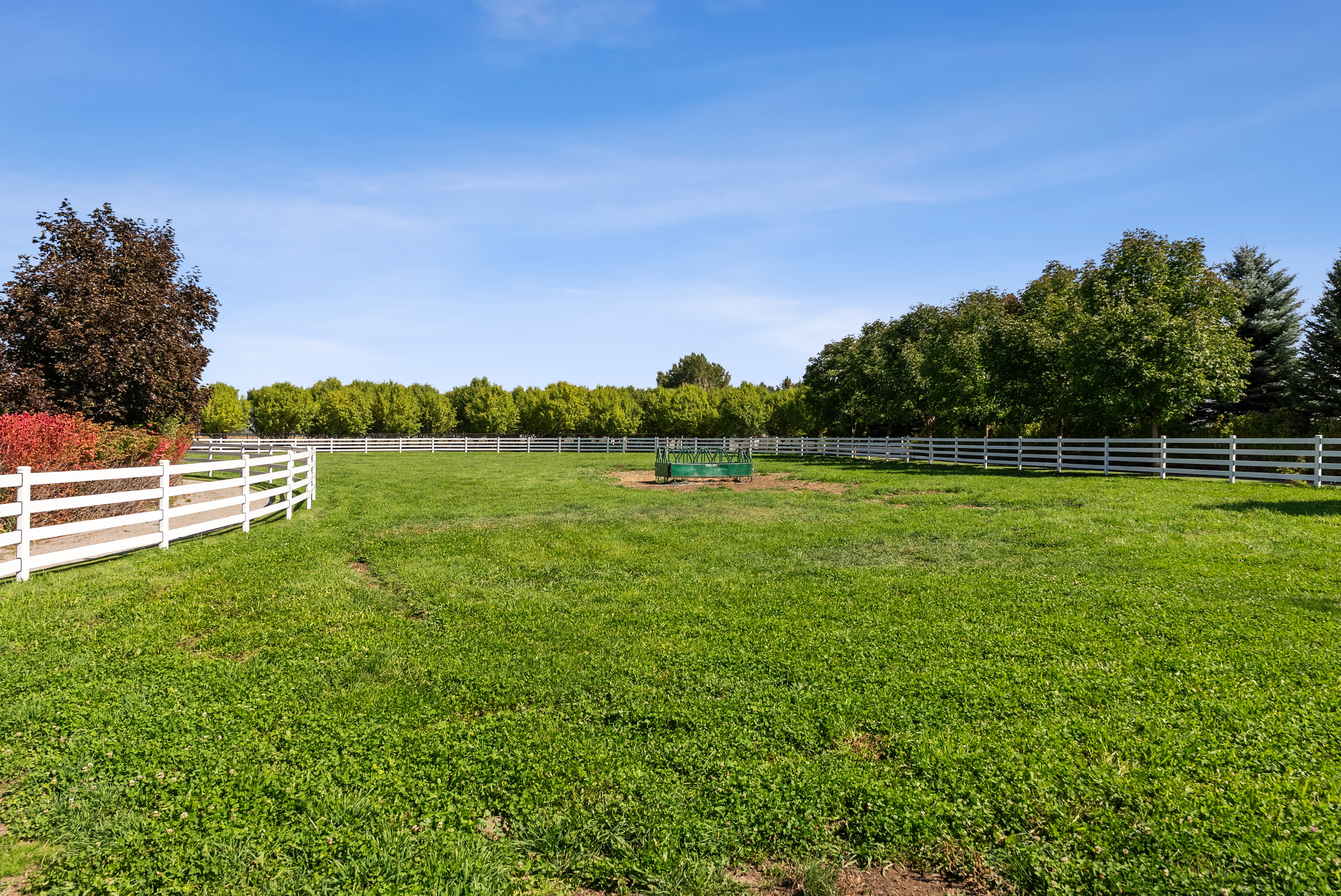 Expansive green lawn enclosed by white fencing