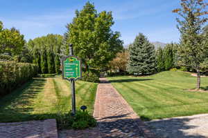 View of property's community featuring a yard and a mountain view