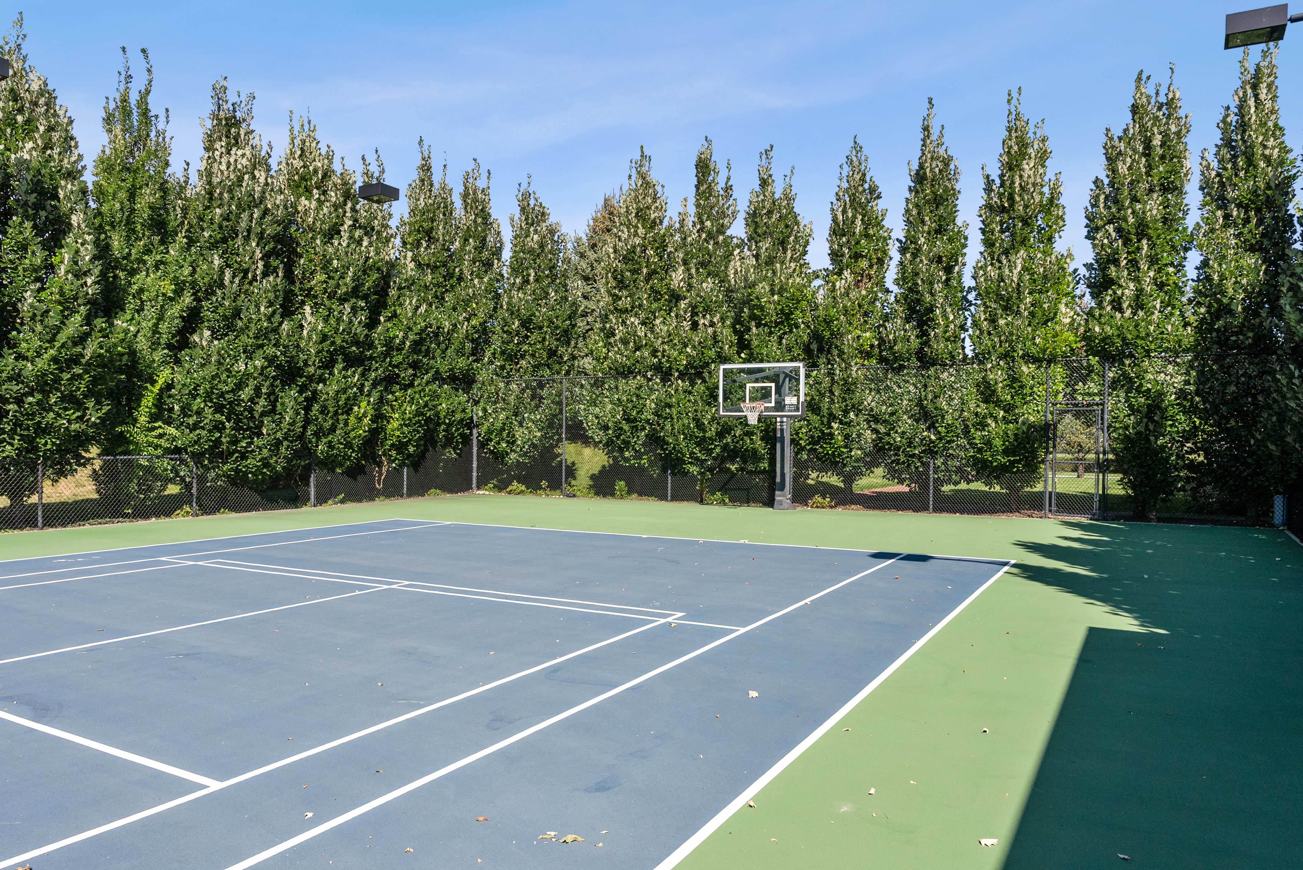 Outdoor sport court featuring a basketball hoop and blue and green surfacing, framed by mature trees and a chain-link fence