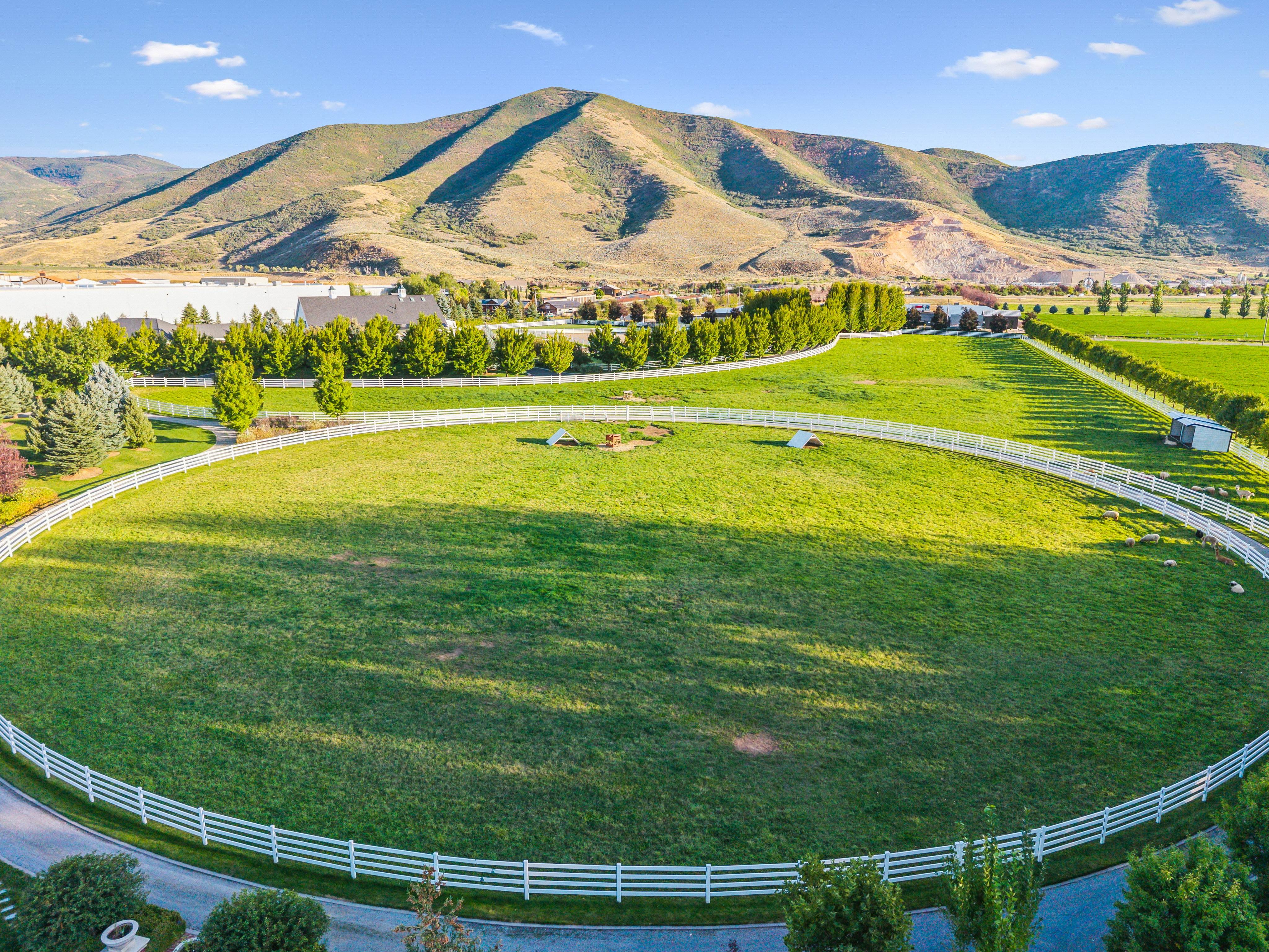 Expansive green pasture defined by white post-and-rail fencing, bordered by mature trees and a paved driveway
