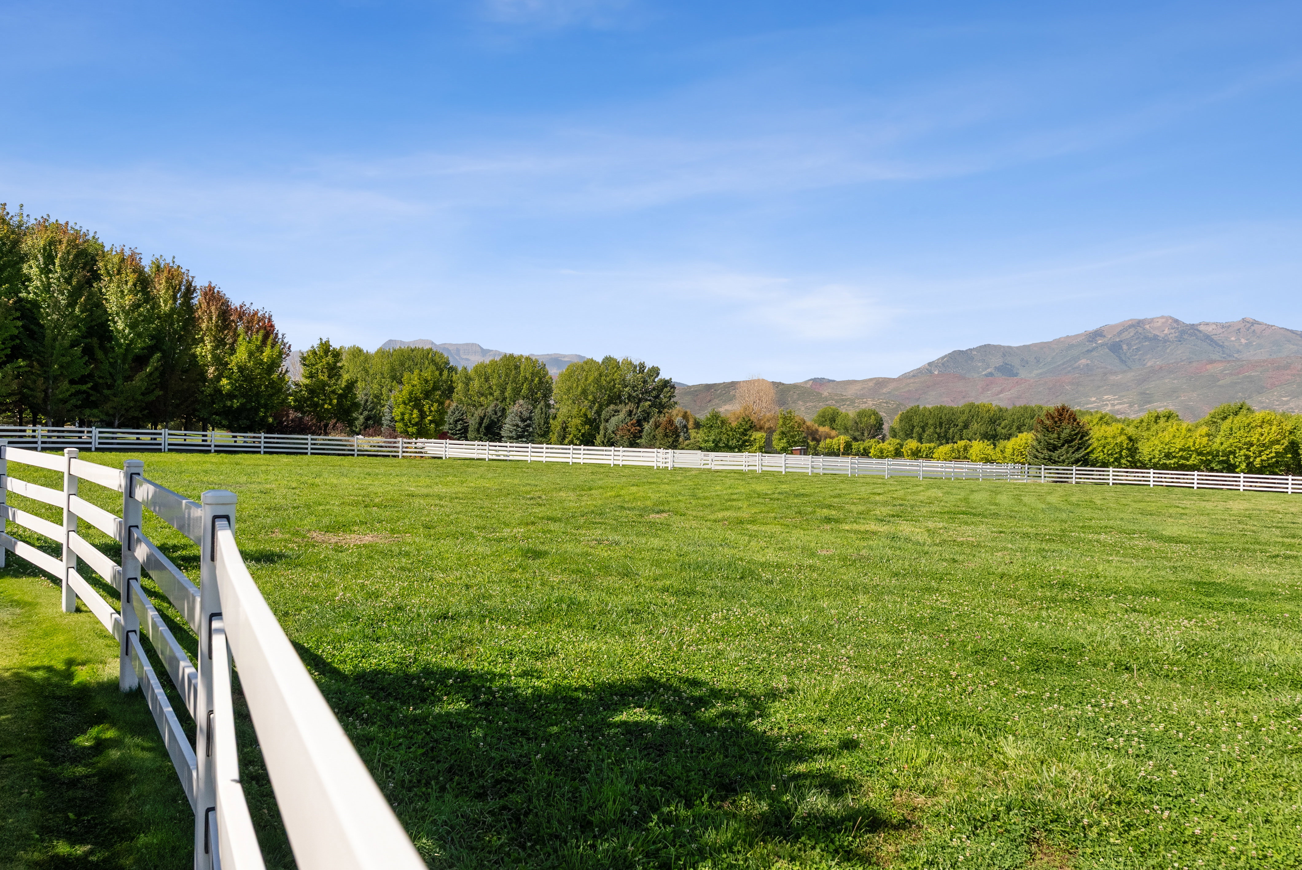 Expansive green lawn area bordered by a white post-and-rail fence