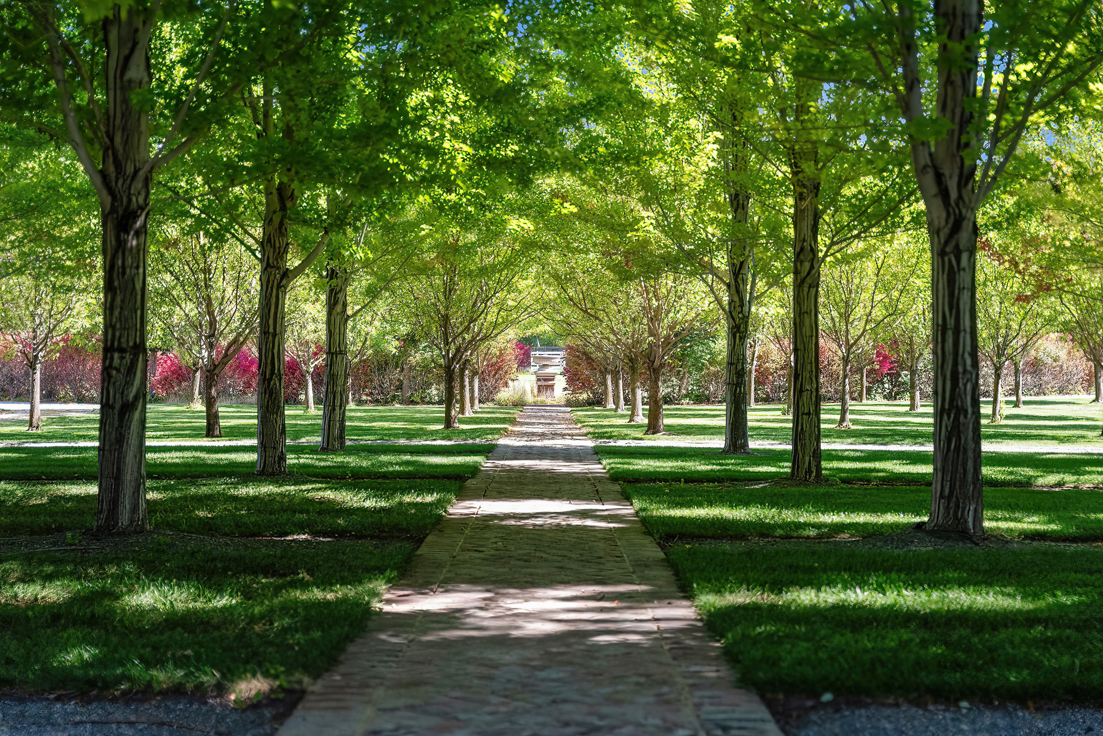 Brick-paved walkway bordered by verdant lawns and mature trees