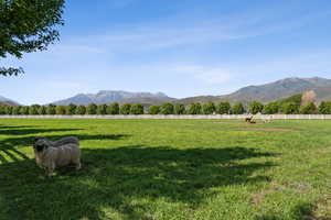 View of mountain backdrop with agricultural land and rural landscape
