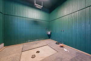 Bathroom with a shower and wooden walls