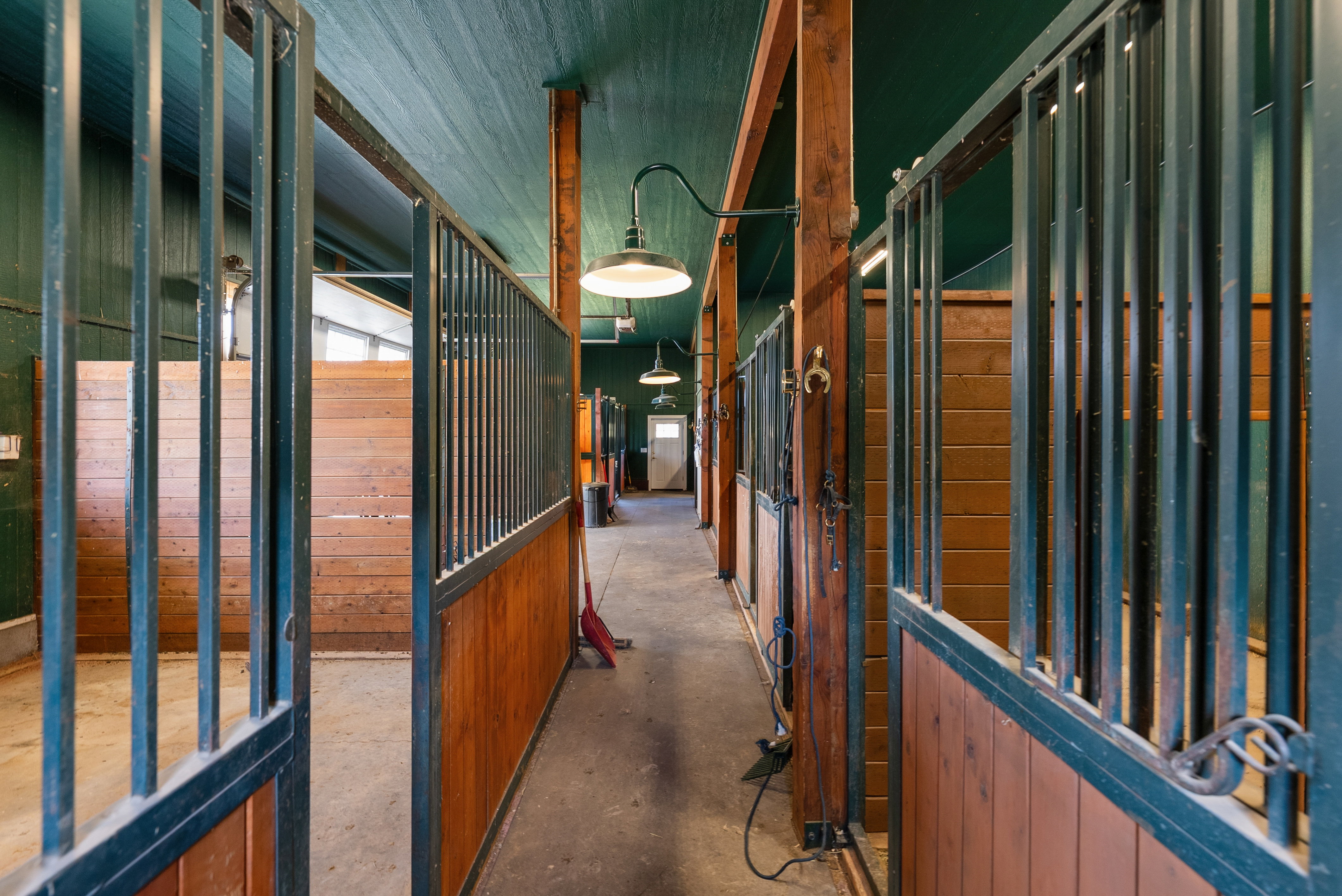 Barn interior featuring multiple stalls with wood paneling and metal grates