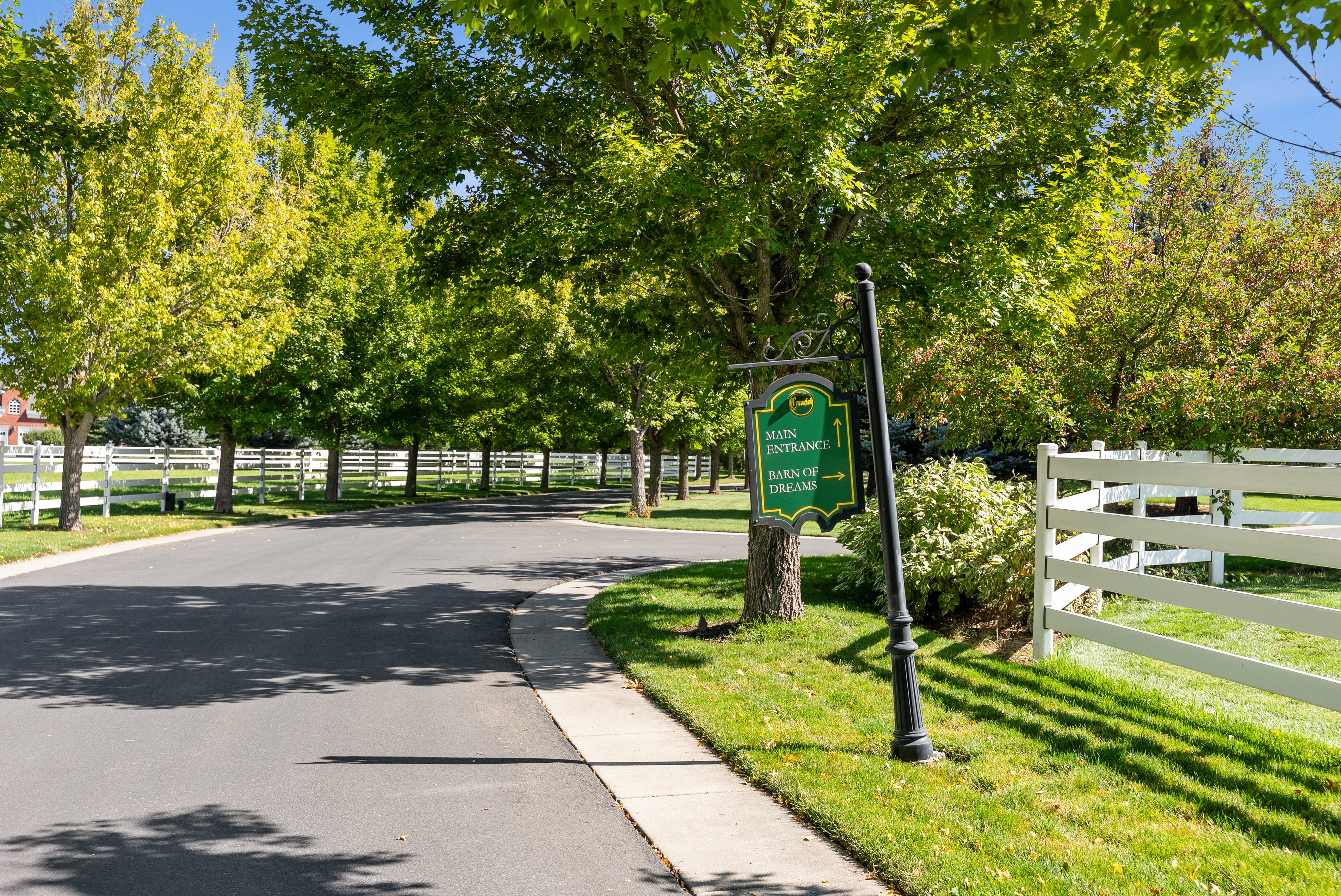 Paved roadway bordered by manicured lawns and mature deciduous trees