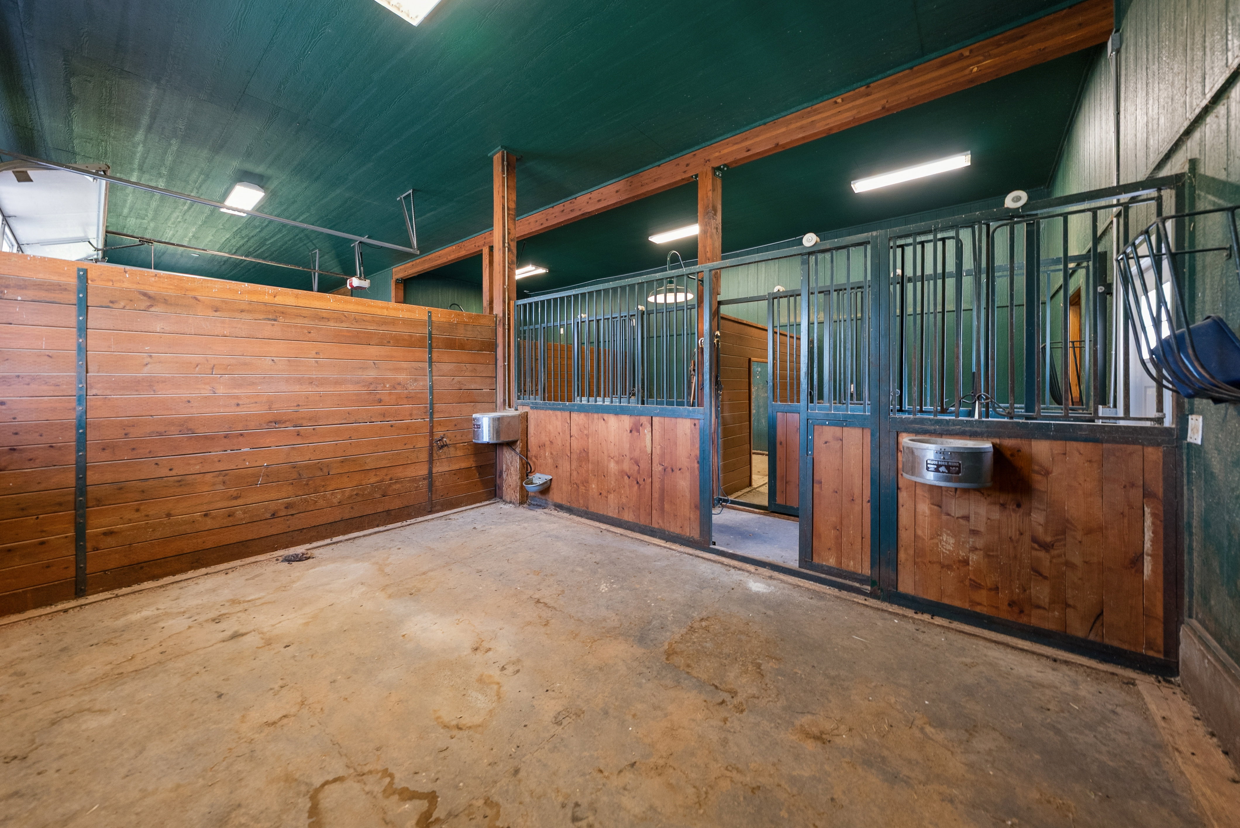 Spacious barn interior featuring wood-paneled stalls with metal grates, concrete flooring, and an overhead lighting system