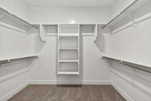 Spacious closet featuring dark colored carpet