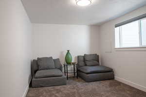 Living area featuring carpet flooring and a textured ceiling