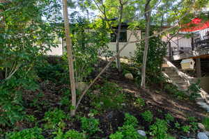 View of yard with stairs and a wooden deck