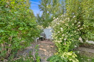 View of yard featuring a secluded seating area