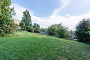 View of grassy yard