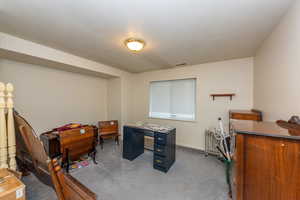 Office space featuring carpet flooring and a textured ceiling