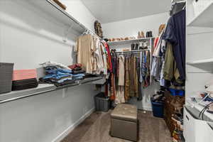 Spacious closet featuring dark colored carpet