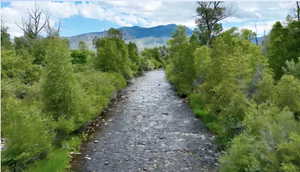Water view featuring a mountain backdrop and a heavily wooded area