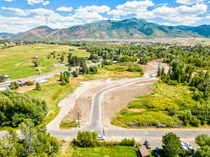 Aerial view of a mountain backdrop and a tree filled landscape